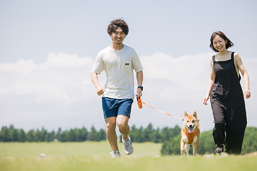 90分プラン撮影例