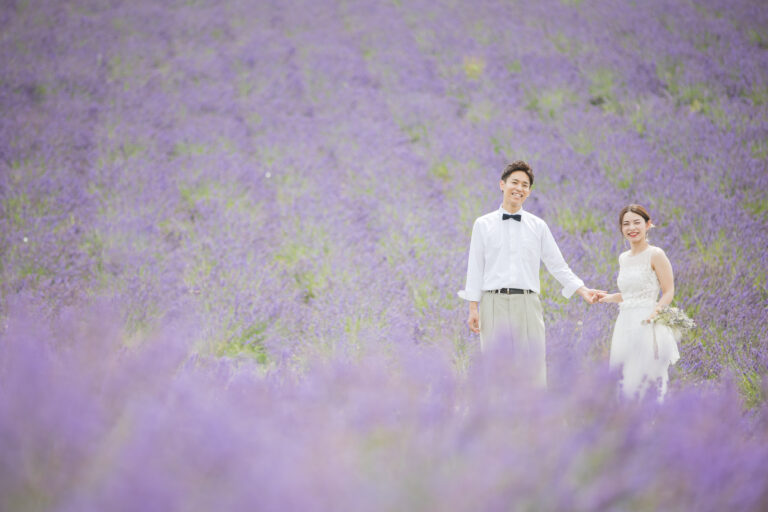 日の出公園ラベンダー園