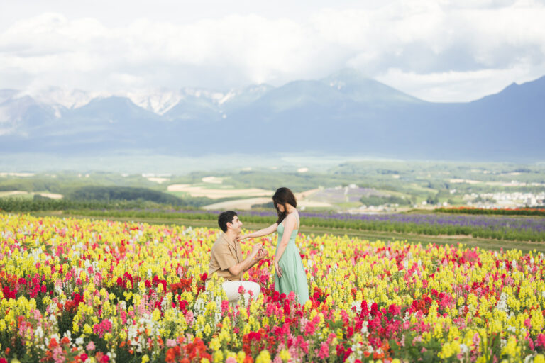 Proposal / Furano